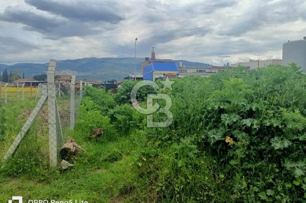 CB Leader'den Havranda Yapı İzinli Sanayi Bölgesinde Ticari Arsa