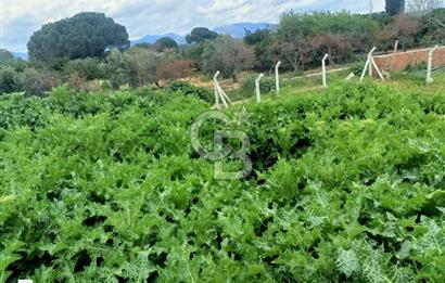 CB Leader'den Havranda Yapı İzinli Sanayi Bölgesinde Ticari Arsa