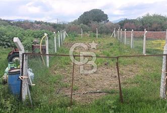 CB Leader'den Havranda Yapı İzinli Sanayi Bölgesinde Ticari Arsa - 7 - 346438