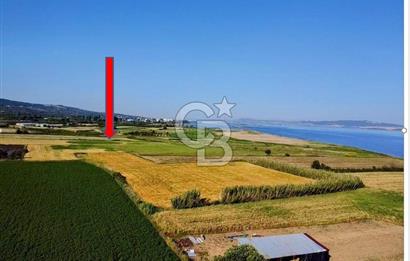 ÇANAKKALE LAPSEKİ ÇARDAK DENİZE 140 M SATILIK 9410 M2 TARLA