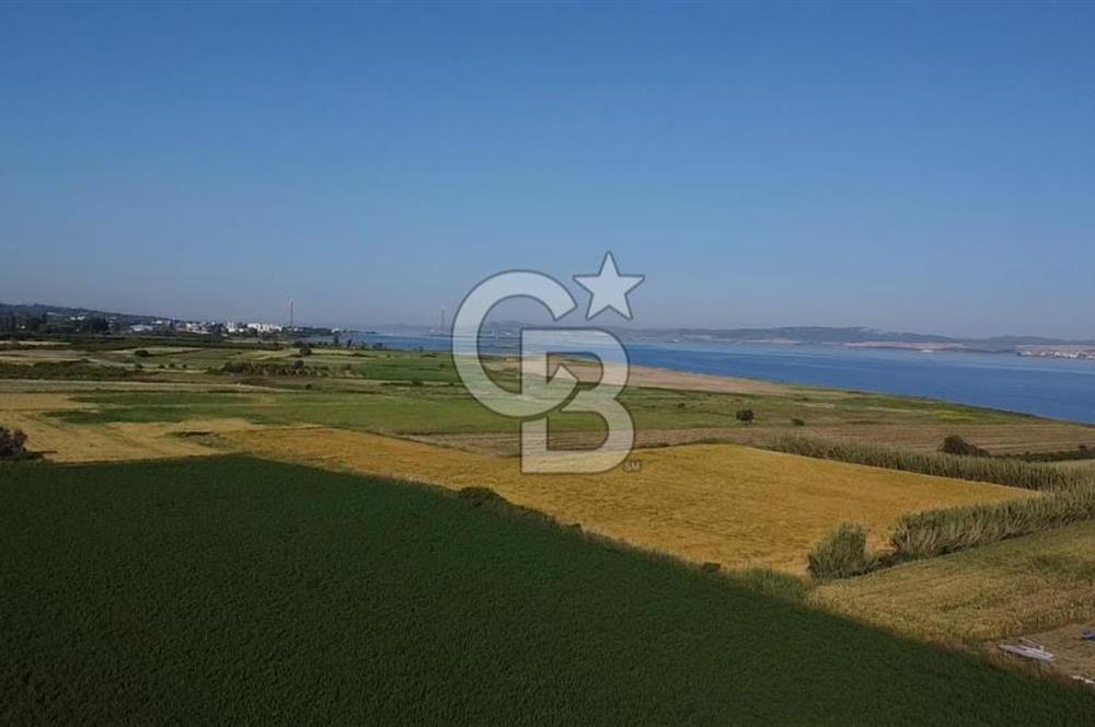 ÇANAKKALE LAPSEKİ ÇARDAK DENİZE 140 M SATILIK 9410 M2 TARLA