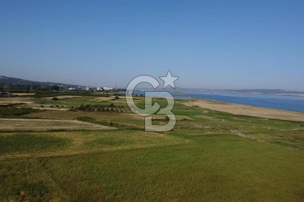 ÇANAKKALE LAPSEKİ ÇARDAK DENİZE 140 M SATILIK 9410 M2 TARLA