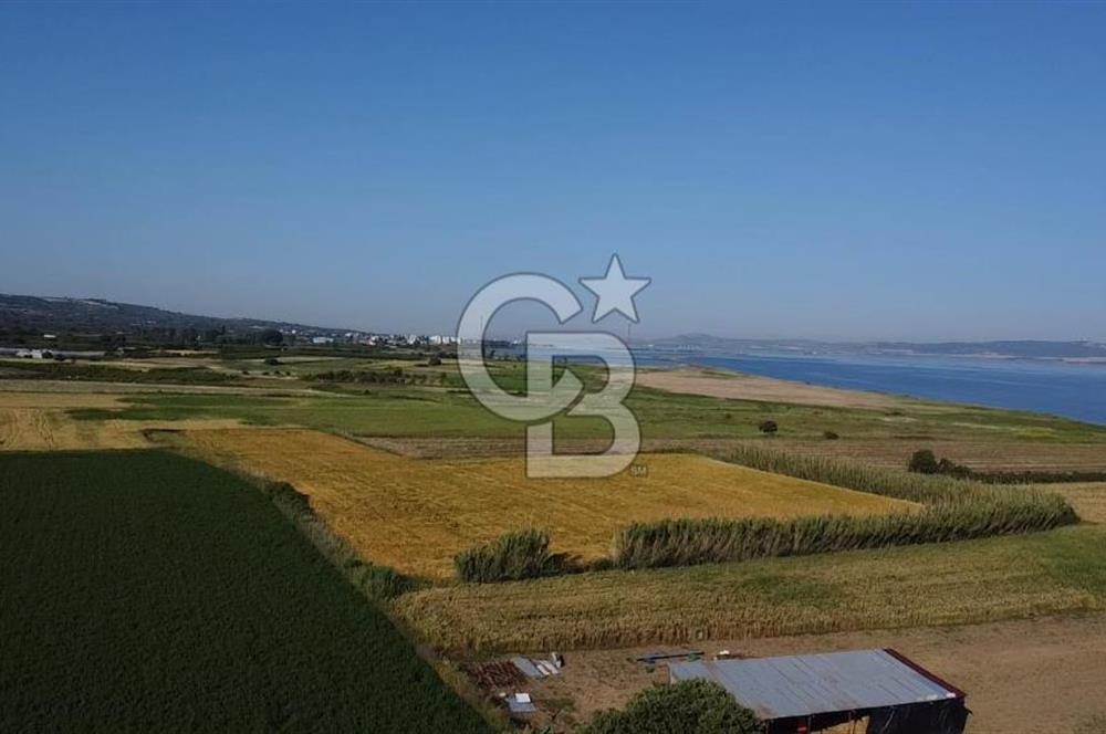 ÇANAKKALE LAPSEKİ ÇARDAK DENİZE 140 M SATILIK 9410 M2 TARLA