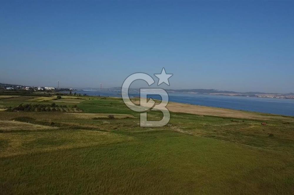 ÇANAKKALE LAPSEKİ ÇARDAK DENİZE 140 M SATILIK 9410 M2 TARLA