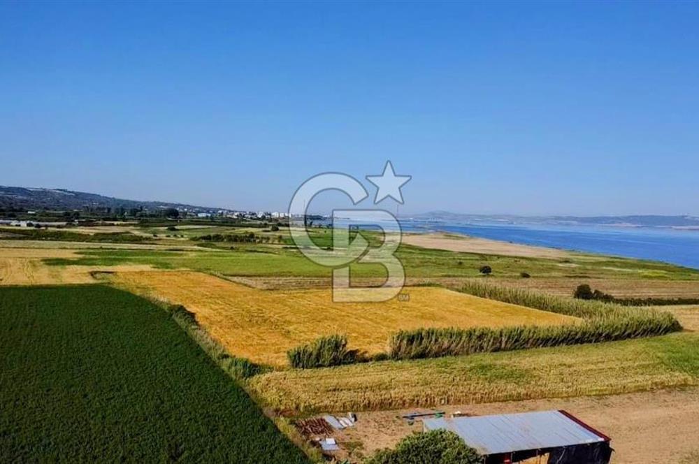 ÇANAKKALE LAPSEKİ ÇARDAK DENİZE 140 M SATILIK 9410 M2 TARLA