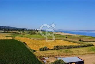 ÇANAKKALE LAPSEKİ ÇARDAK DENİZE 140 M SATILIK 9410 M2 TARLA - 6 - 346443