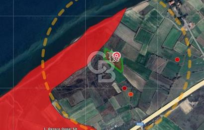 ÇANAKKALE LAPSEKİ ÇARDAK DENİZE 140 M SATILIK 9410 M2 TARLA