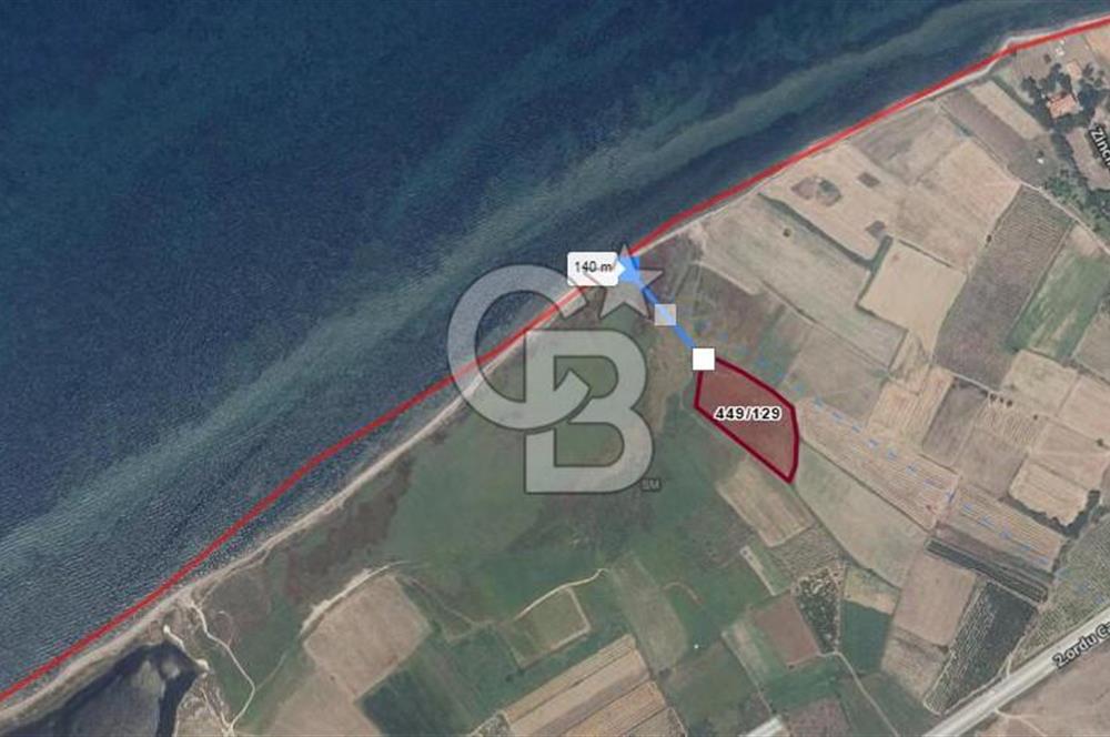 ÇANAKKALE LAPSEKİ ÇARDAK DENİZE 140 M SATILIK 9410 M2 TARLA