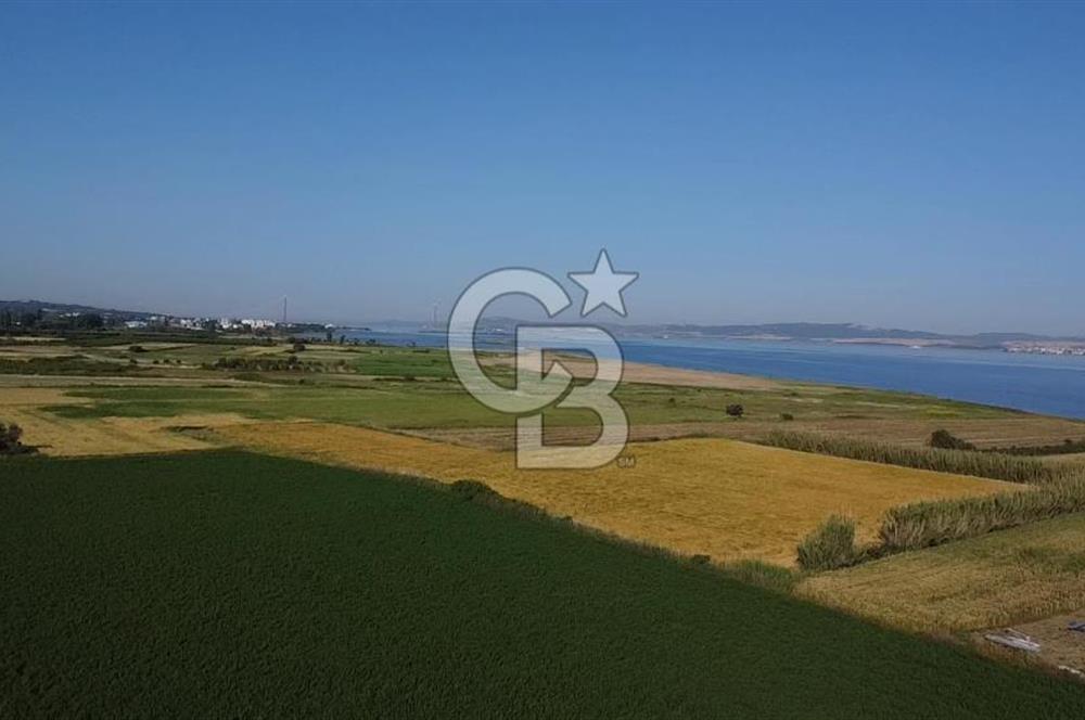 ÇANAKKALE LAPSEKİ ÇARDAK DENİZE 140 M SATILIK 9410 M2 TARLA