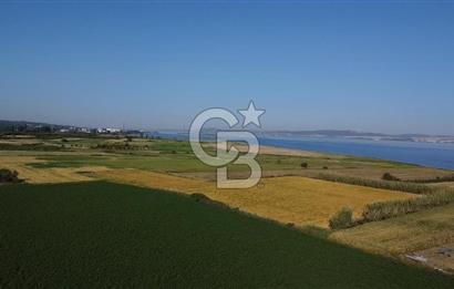 ÇANAKKALE LAPSEKİ ÇARDAK DENİZE 140 M SATILIK 9410 M2 TARLA