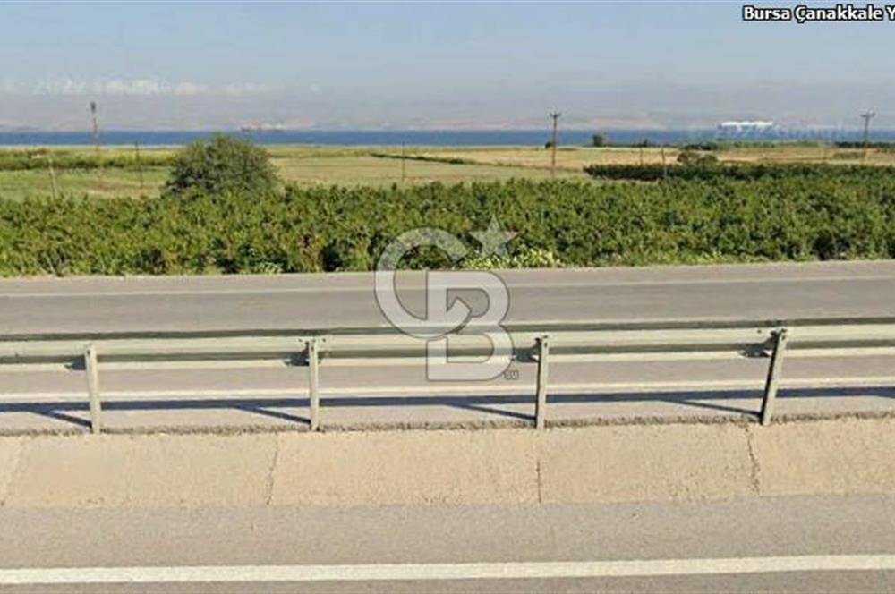 ÇANAKKALE LAPSEKİ ÇARDAK DENİZE 140 M SATILIK 9410 M2 TARLA