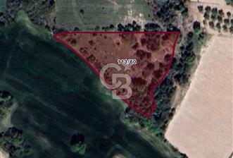 BALIKESİR / ALTIEYLÜL / CİNGE MAHALLESİ - 7 - 346493