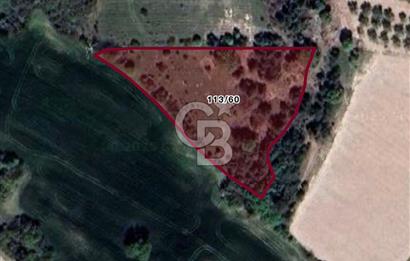 BALIKESİR / ALTIEYLÜL / CİNGE MAHALLESİ