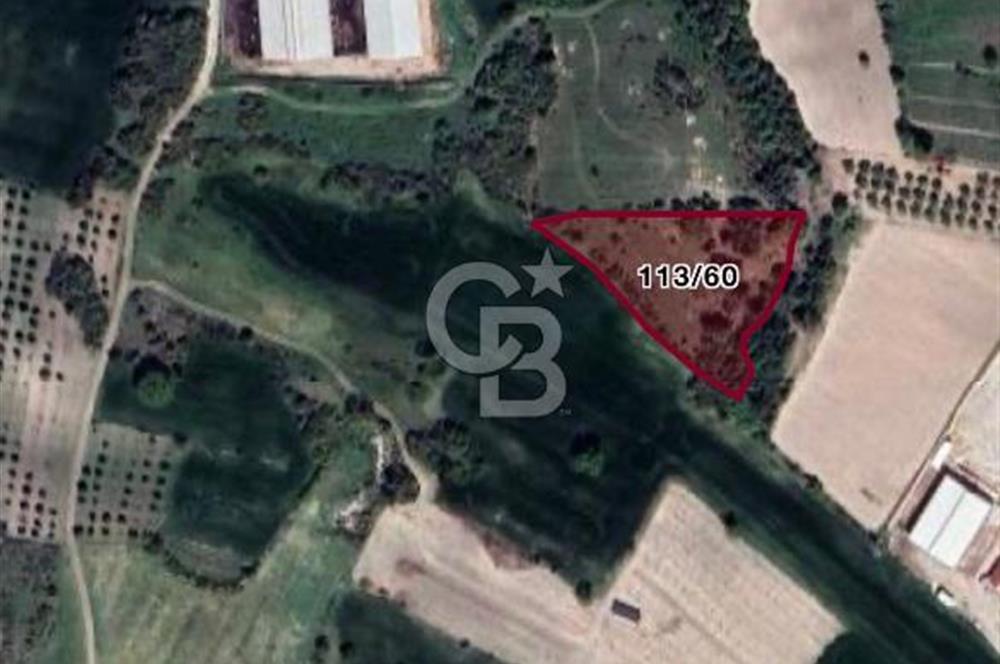 BALIKESİR / ALTIEYLÜL / CİNGE MAHALLESİ