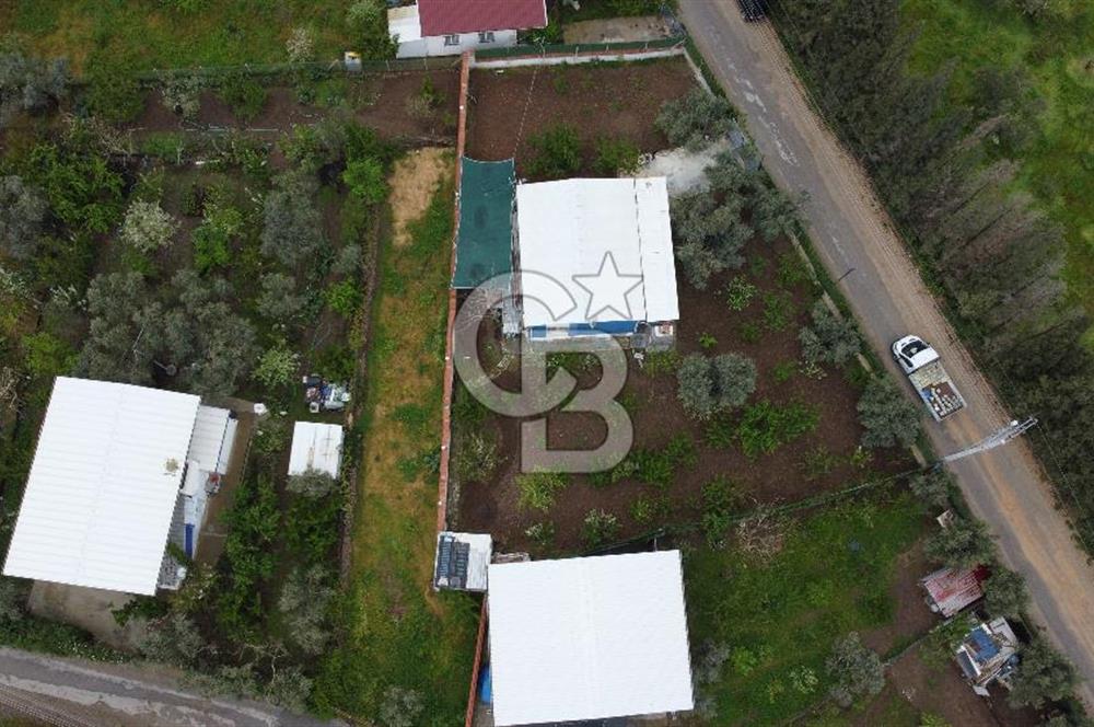 KEMALPAŞA ÖREN DE 848 M2 2+1 EV OLAN RIZA-İ TAKSİMLİ BAĞ 