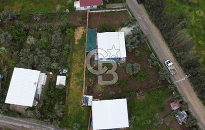 KEMALPAŞA ÖREN DE 848 M2 2+1 EV OLAN RIZA-İ TAKSİMLİ BAĞ 