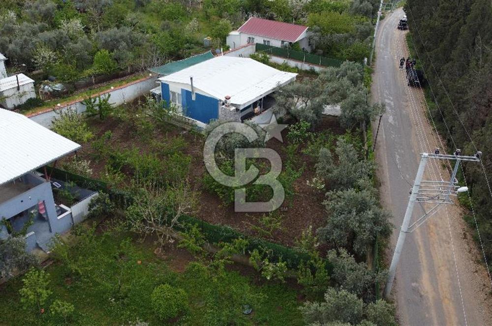 KEMALPAŞA ÖREN DE 848 M2 2+1 EV OLAN RIZA-İ TAKSİMLİ BAĞ 