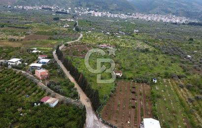 KEMALPAŞA ÖREN DE 848 M2 2+1 EV OLAN RIZA-İ TAKSİMLİ BAĞ 