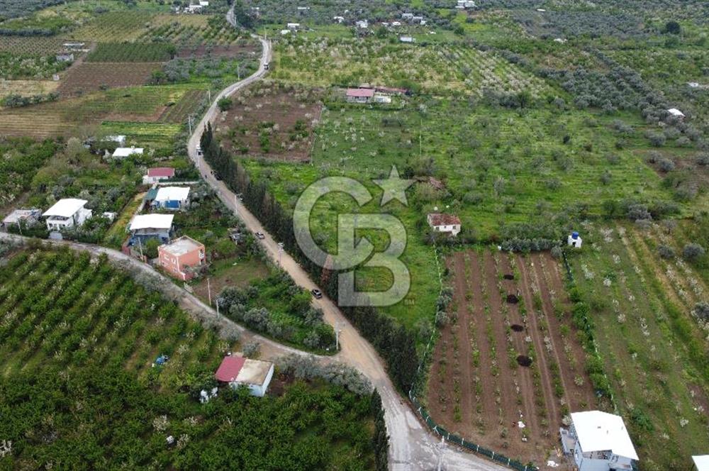 KEMALPAŞA ÖREN DE 848 M2 2+1 EV OLAN RIZA-İ TAKSİMLİ BAĞ 