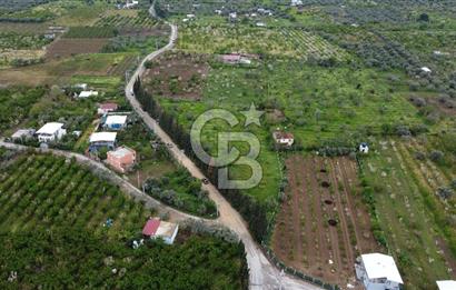 KEMALPAŞA ÖREN DE 848 M2 2+1 EV OLAN RIZA-İ TAKSİMLİ BAĞ 