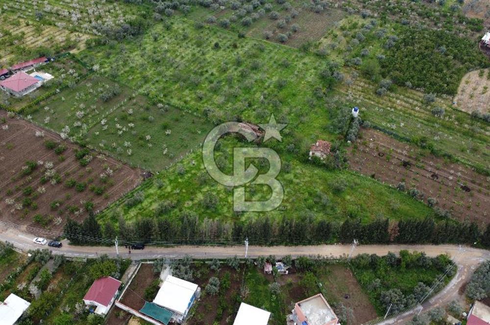 KEMALPAŞA ÖREN DE 848 M2 2+1 EV OLAN RIZA-İ TAKSİMLİ BAĞ 