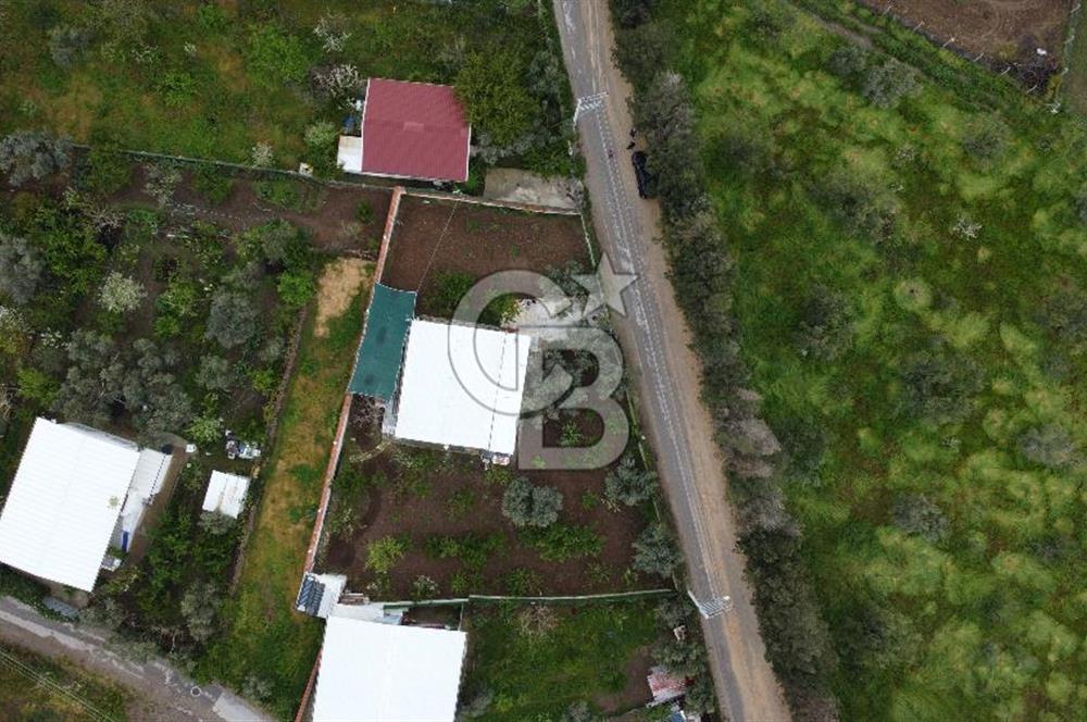 KEMALPAŞA ÖREN DE 848 M2 2+1 EV OLAN RIZA-İ TAKSİMLİ BAĞ 