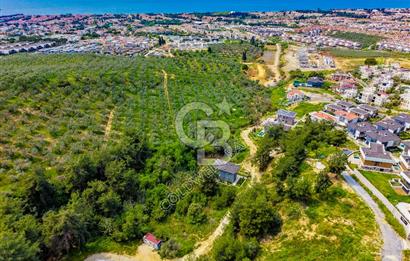 Kuşadası Soğucak’ta Satılık Villa İmarlı Arsa | Deniz ve Doğa İçinde