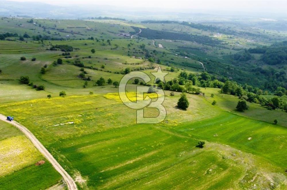 Kandıra AĞAÇAĞIL'da Çiftlik yapımına uygun GİOSB ye yakın ARAZİ.