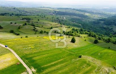 Kandıra AĞAÇAĞIL'da Çiftlik yapımına uygun GİOSB ye yakın ARAZİ.