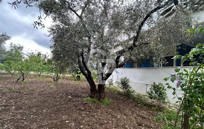 KEMALPAŞA ÖREN DE 848 M2 2+1 EV OLAN RIZA-İ TAKSİMLİ BAĞ 