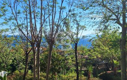 BAHÇELİEVLER'DE ATATÜRK PARKI'NA 200 METRE UZAKLIKTA GENİŞ 3+1