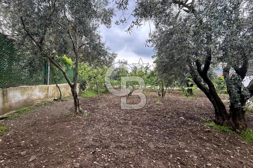 KEMALPAŞA ÖREN DE 848 M2 2+1 EV OLAN RIZA-İ TAKSİMLİ BAĞ 