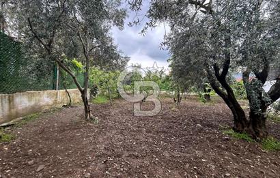 KEMALPAŞA ÖREN DE 848 M2 2+1 EV OLAN RIZA-İ TAKSİMLİ BAĞ 