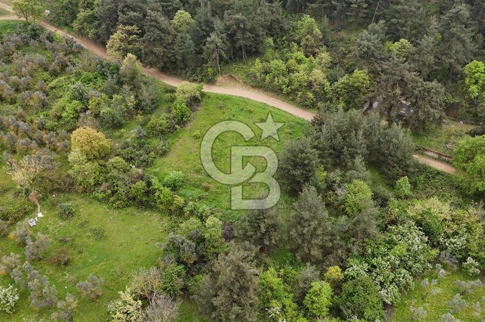 Bursa Nilüfer Yaylacık’ta 528 m² 0.40 Emsalli Villa Arsası – Yola Cephe