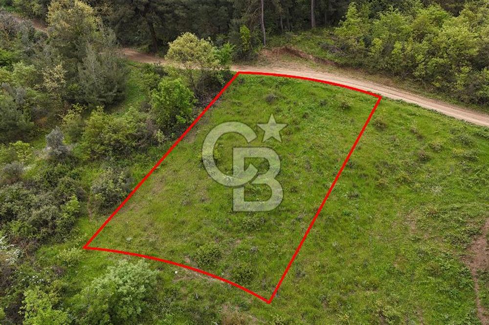 Bursa Nilüfer Yaylacık’ta 528 m² 0.40 Emsalli Villa Arsası – Yola Cephe