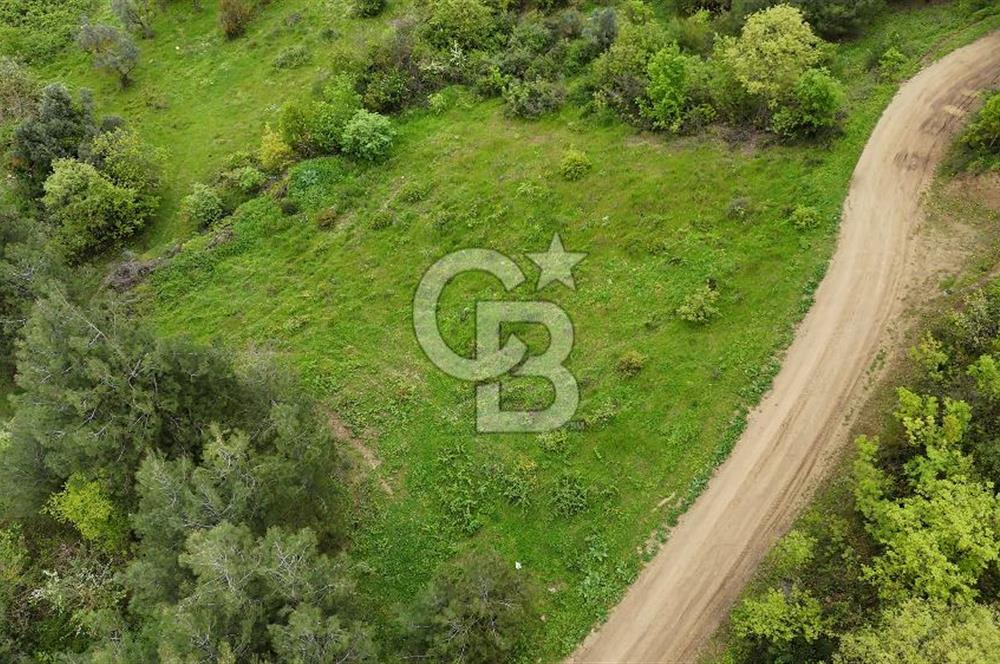 Bursa Nilüfer Yaylacık’ta 528 m² 0.40 Emsalli Villa Arsası – Yola Cephe