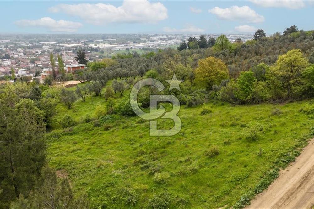Bursa Nilüfer Yaylacık’ta 528 m² 0.40 Emsalli Villa Arsası – Yola Cephe