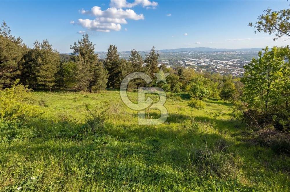 Bursa Nilüfer Yaylacık’ta 528 m² 0.40 Emsalli Villa Arsası – Yola Cephe