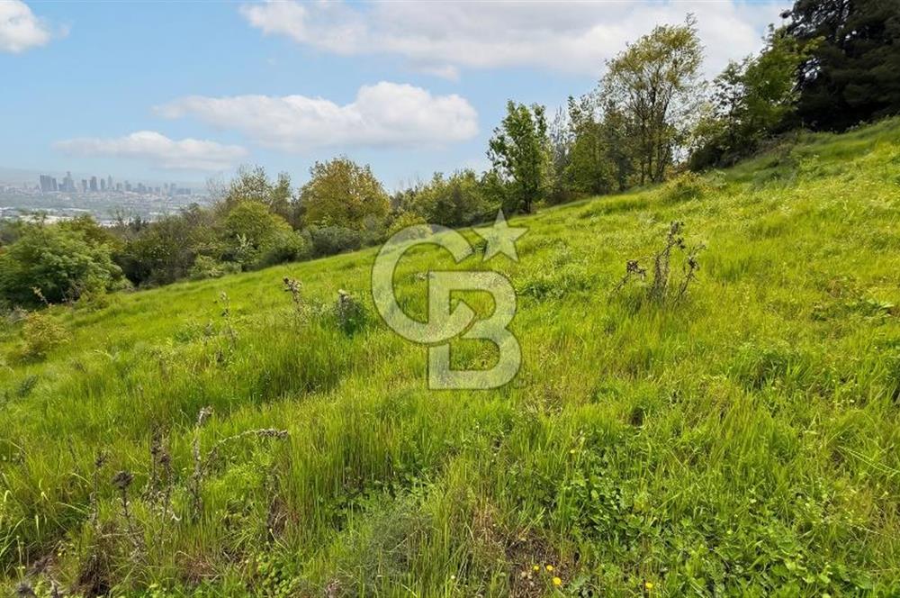 Bursa Nilüfer Yaylacık’ta 528 m² 0.40 Emsalli Villa Arsası – Yola Cephe