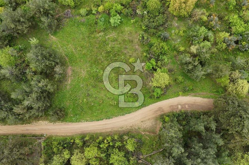 Bursa Nilüfer Yaylacık’ta 528 m² 0.40 Emsalli Villa Arsası – Yola Cephe