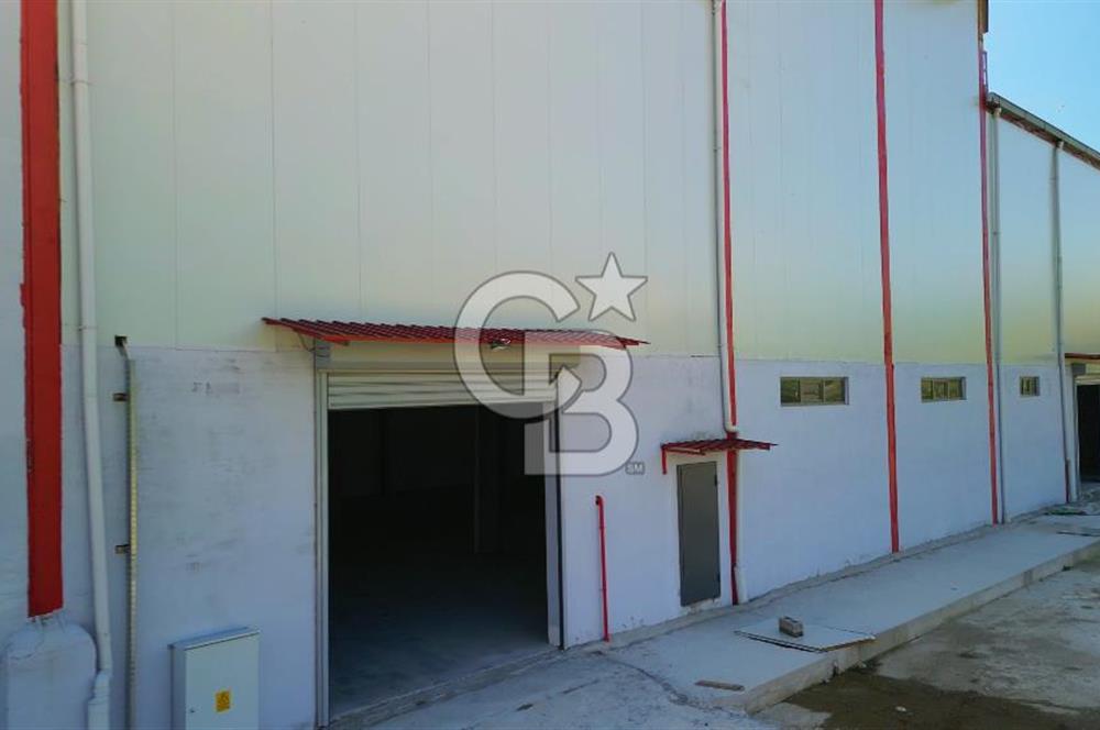 Muğla Yatağan Bozarmut'ta Satılık Ticari Depo