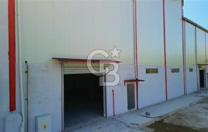 Muğla Yatağan Bozarmut'ta Satılık Ticari Depo