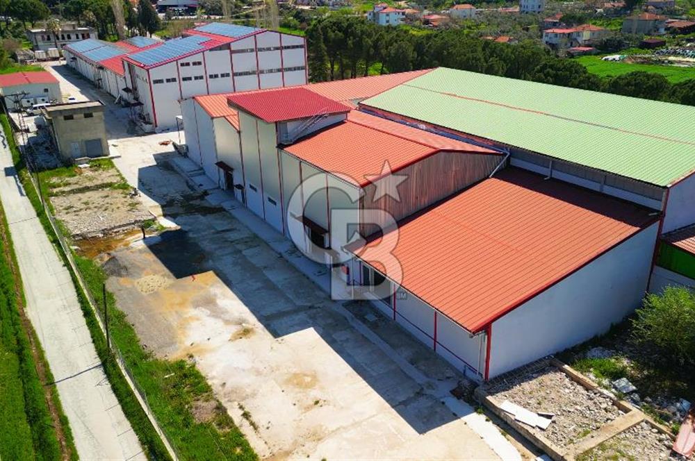 Muğla Yatağan Bozarmut'ta Satılık Ticari Depo