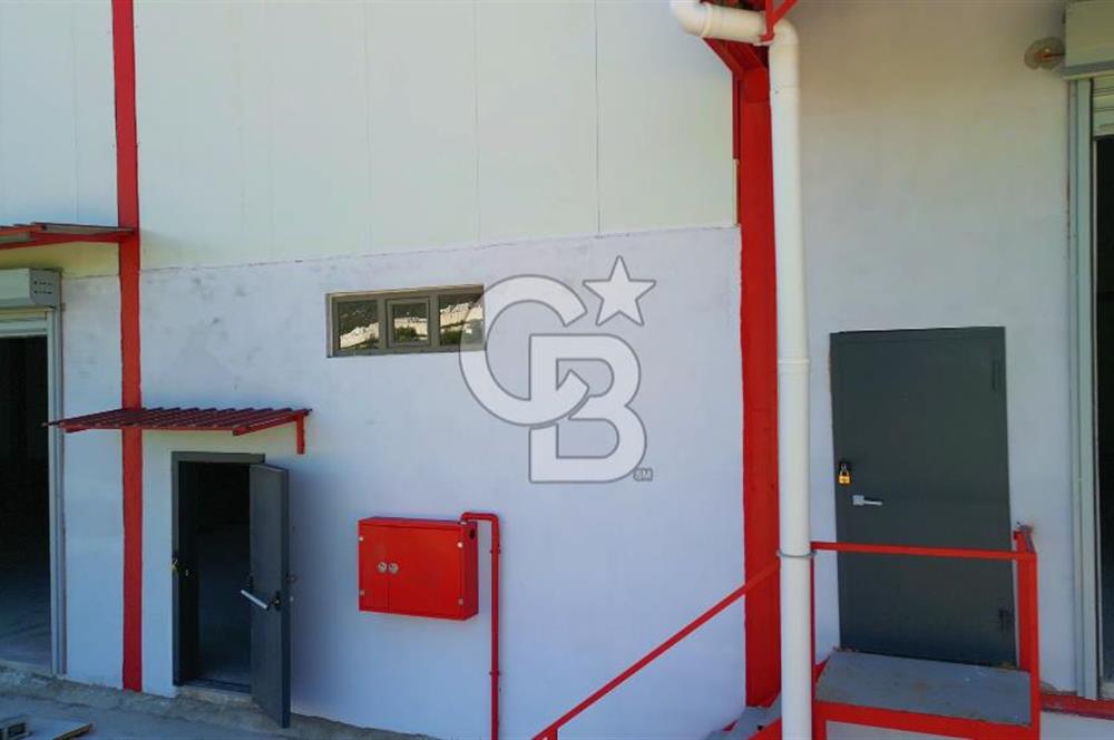 Muğla Yatağan Bozarmut'ta Satılık Ticari Depo