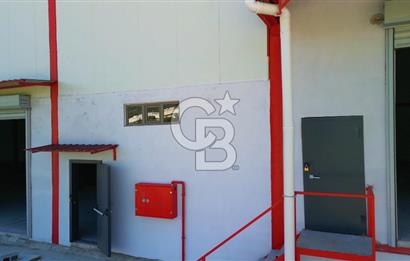 Muğla Yatağan Bozarmut'ta Satılık Ticari Depo