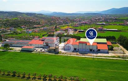 Muğla Yatağan Bozarmut'ta Satılık Ticari Depo
