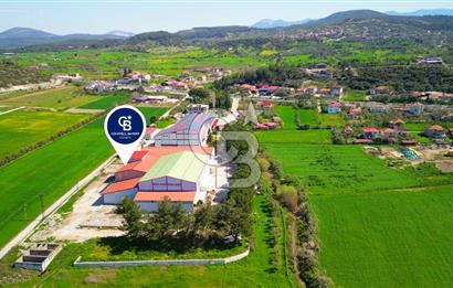 Muğla Yatağan Bozarmut'ta Satılık Ticari Depo