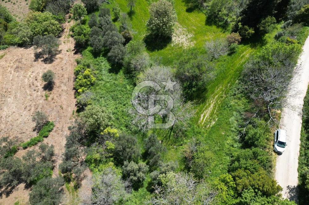 ÇANAKKALE KANGIRLI BAĞ VE ÇİFTLİK EVİ YAPIMINA UYGUN İMARLI ARSA