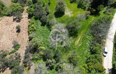 ÇANAKKALE KANGIRLI BAĞ VE ÇİFTLİK EVİ YAPIMINA UYGUN İMARLI ARSA