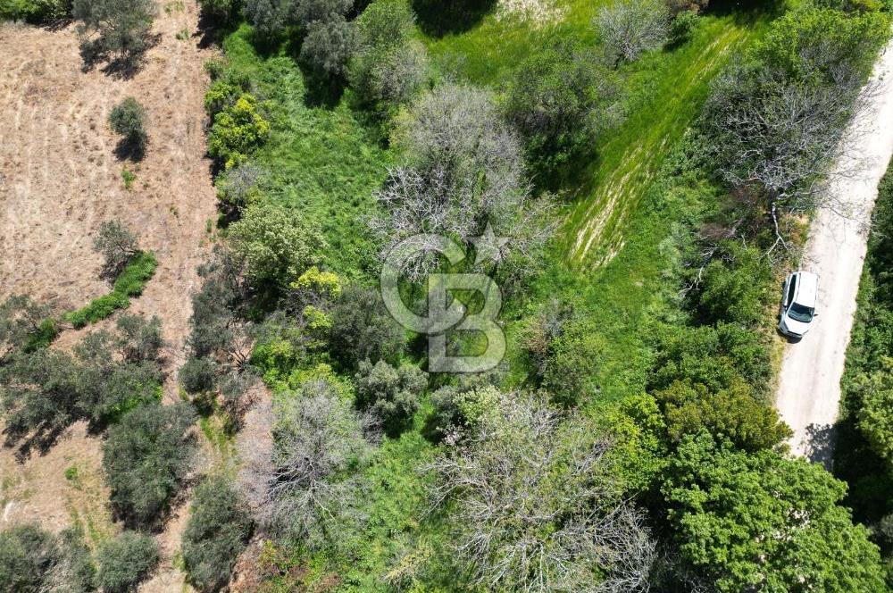 ÇANAKKALE KANGIRLI BAĞ VE ÇİFTLİK EVİ YAPIMINA UYGUN İMARLI ARSA